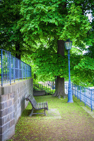 Green city park. old bench and lantern covered with leavesの写真素材