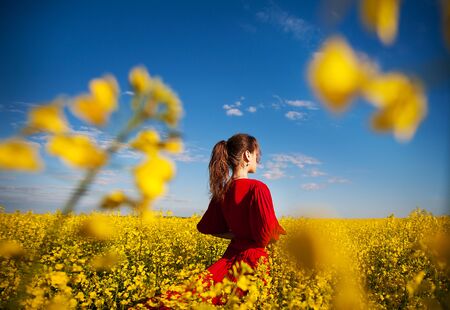 a young beautiful girl in the fieldの写真素材