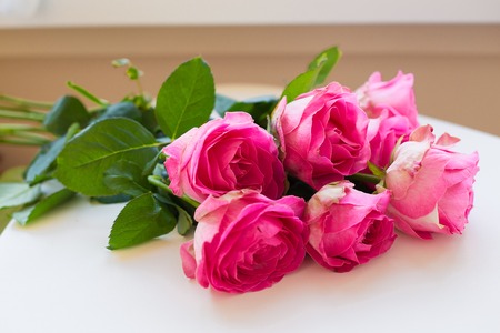 beautiful pink rose lie on white tableの写真素材