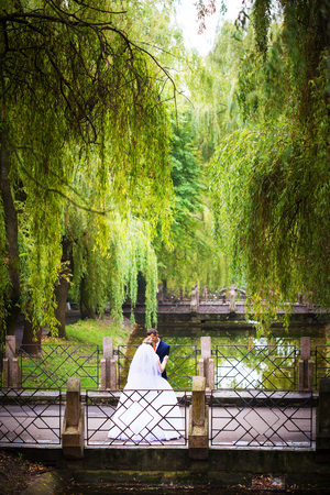 Wedding shot of bride and groom in parkの写真素材