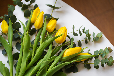 beautiful yellow tulips with eucalyptus branches on a white tableの写真素材