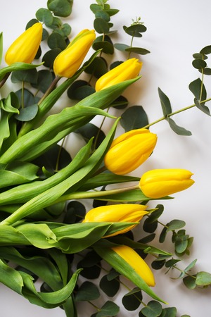 beautiful yellow tulips with eucalyptus branches on a white tableの写真素材