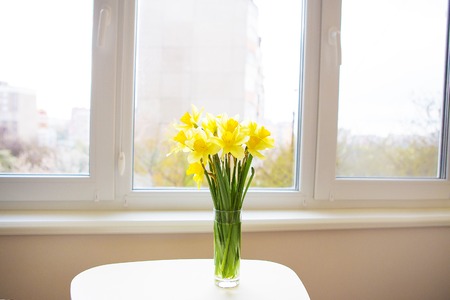 Posy of bright yellow daffodils on white wooden table.の写真素材