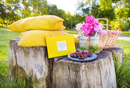 Bright and delicious picnic in nature-a healthy dayの写真素材