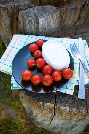 Picnic on nature - a plate with cheese and tomatoes on a napkin stands on a wooden stumpの写真素材