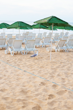 Beautiful chic sea - beach, umbrellas, summer Nessebar Bulgariaの写真素材