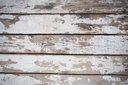 white texture of an aged tree, suitable for background.の写真素材