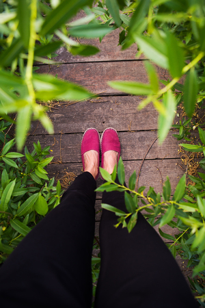 legs of a girl stand on an old wooden bridge in green grass.の写真素材