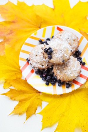 colorful cupcakes on a plate with fresh blueberries and yellow autumn leavesの写真素材