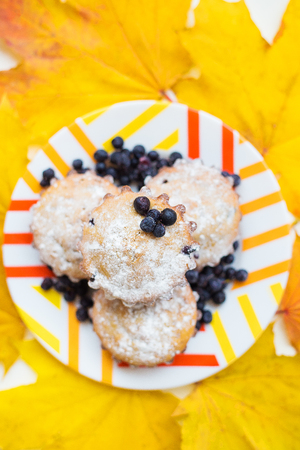 Blueberry muffins on plate color and yellow autumn leaves, close-upの写真素材