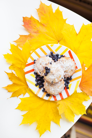 Blueberry muffins on plate and bright yellow fall foliageの写真素材
