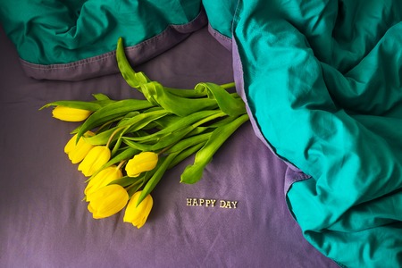 Beautiful yellow tulips in a bed inscription happy dayの写真素材