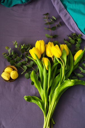 Beautiful yellow tulips in a bed, close-upの写真素材