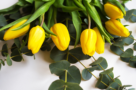beautiful yellow tulips with eucalyptus branches on a white tableの写真素材