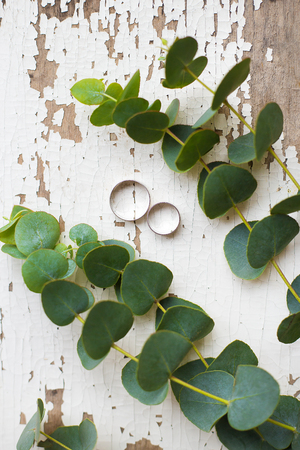 wedding rings on a white old table with a sprig of eucalyptusの写真素材