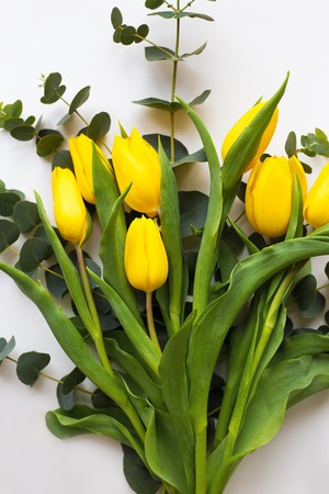 Beautiful yellow tulips on a white tableの写真素材