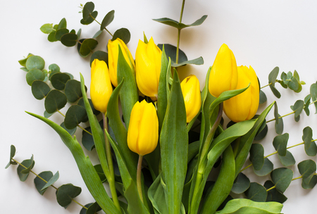 Beautiful yellow tulips on a white tableの写真素材