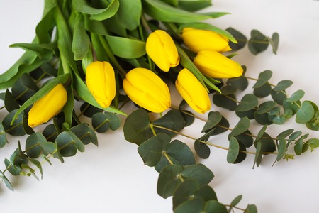 beautiful yellow tulips with eucalyptus branches on a white tableの写真素材