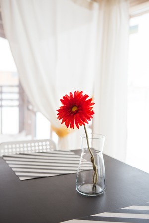Beautiful and bright kitchen studio in the Scandinavian style, bright house. Vase on the tableの写真素材