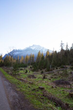 On the way to Sea Eye in Poland. Road in the forest. Tatryの写真素材