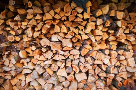 harvesting of firewood in the open air, countryside.の写真素材
