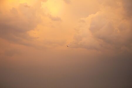 beautiful orange sunset sky with clouds, bird in the sky.の写真素材