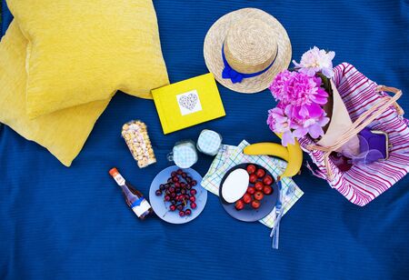 colorful picnic with delicious food and drinks, lunch outdoorsの写真素材