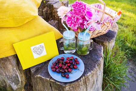 Bright and delicious picnic in nature-a healthy dayの写真素材