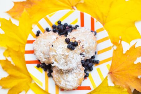 Blueberry muffins on plate color and yellow autumn leaves, close-upの写真素材