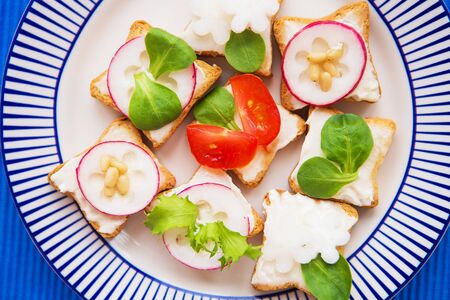 light snack, canape with radish and cherry tomatoes lying on a striped blue plate, close-up.の写真素材