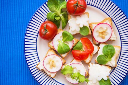 light snack, canape with radish and cherry tomatoes lying on a striped blue plate, close-up.の写真素材