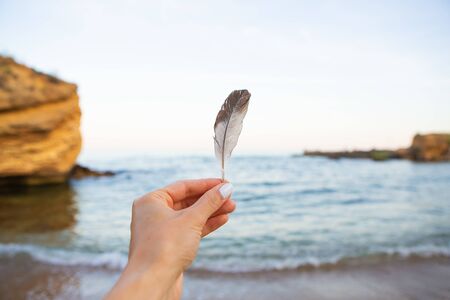 Girl holds a feather of a bird in the background of the sea. Beautiful sunset. Close-up.の写真素材