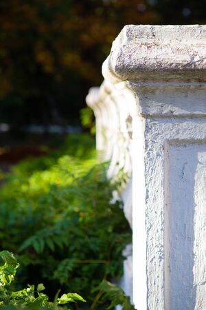 Old white columns overgrown with green plantsの写真素材