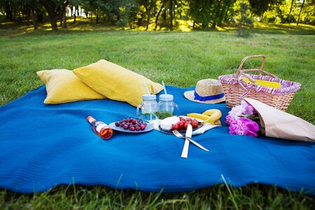 Bright summer picnic on nature-summer, sun, happinessの写真素材