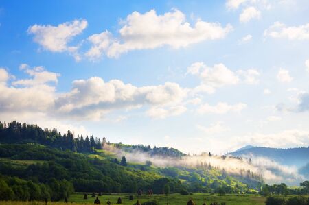morning landscape with fog Carpathian Mountains in Ukraine.の写真素材