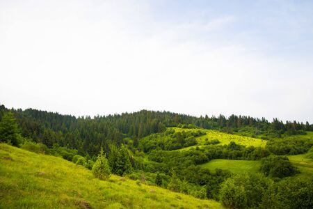 beautiful summer landscape in the Carpathian mountains. Ukraineの写真素材