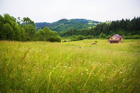 Carpathian village in the mountains in summerの写真素材
