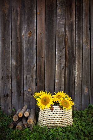 Logs, a bouquet of sunflowers in a straw bag are standing near a wooden old house.の写真素材