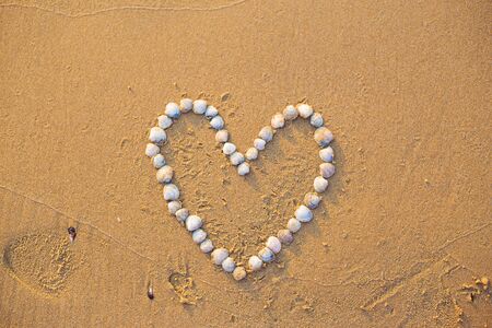 On the sand shells lined with heart and the word loveの写真素材