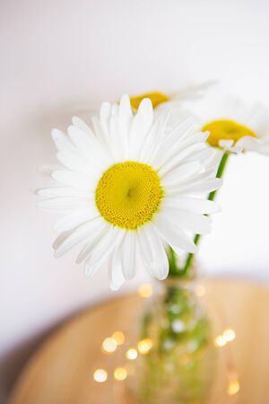 Three daisies in a vase on a wooden table. Small lights in the background, bokeh.の写真素材