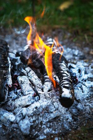 Bonfire, firewood close-up. Burning fire. Wood ashの写真素材