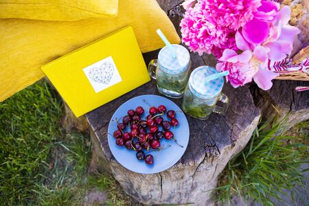 Picnic on the grass. Cherry, bouquet of flowers, fruit bookの写真素材