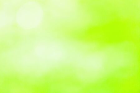 Abstract green spring background with big bokehの写真素材