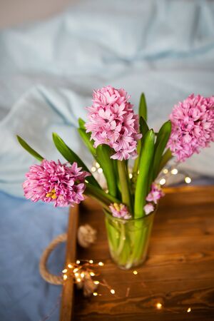 Beautiful pink hyacinths stand in a vase on an old wooden tray, garland, beautiful blink, surprise concept. Breakfast in bed, beautiful spring morning, sunny day. Close-up. Place for an inscription.の写真素材