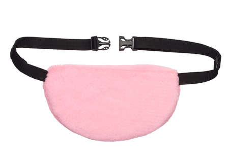 Pink belt bag isolated on white background. Back view, close-upの写真素材