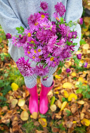 A young woman holds a beautiful blooming bouquet of fresh chrysanthemums. Close-upの写真素材