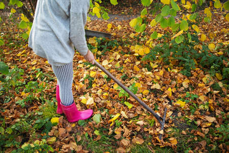 A girl in rubber boots holds a rake and rakes the fallen leavesの写真素材
