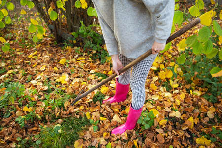 A girl in rubber boots holds a rake and rakes the fallen leavesの写真素材