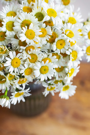 A beautiful large bouquet of white daisies stands in a vase on a wooden table. Close-upの写真素材
