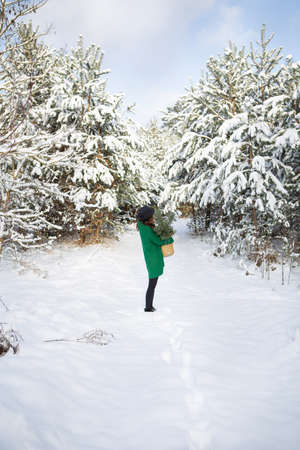 A young beautiful girl in a green sweater and hat stands in the winter forest along with a basket with pine branchesの写真素材